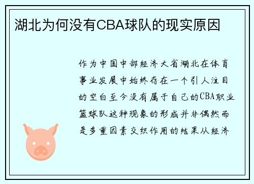 湖北为何没有CBA球队的现实原因